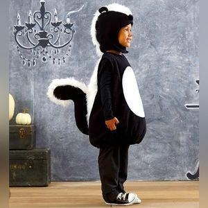 Pottery Barn Kids  SKUNK Costume Size 2T- 3T